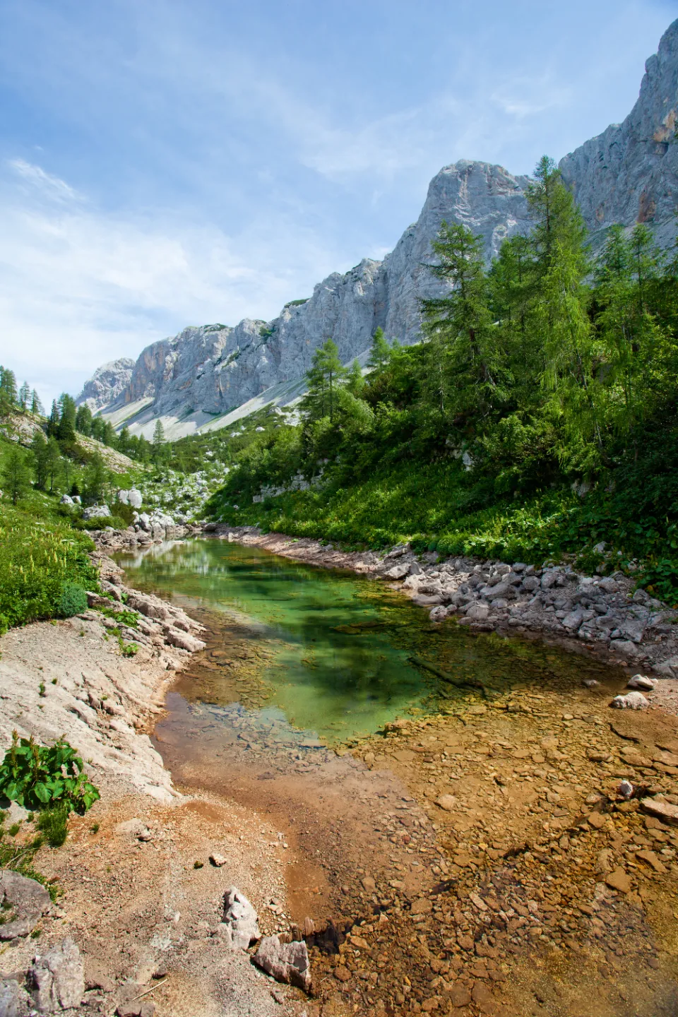Radovna valley