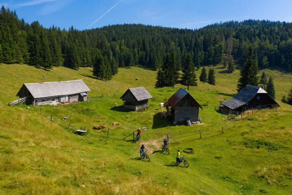 Pokljuka plateau